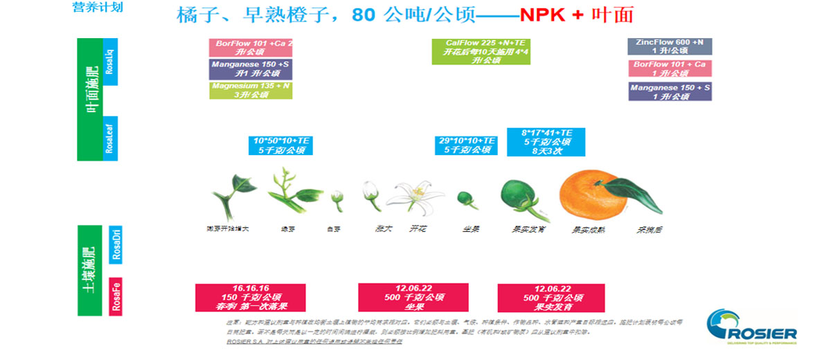 柑橘营养套餐方案